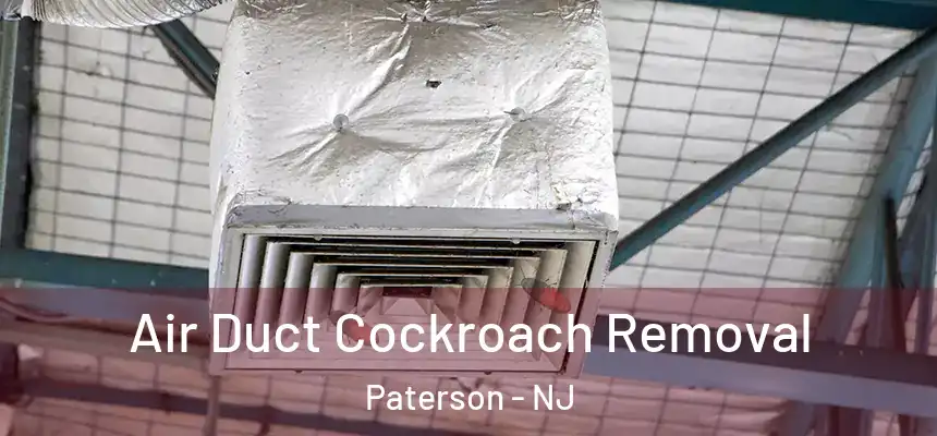 Air Duct Cockroach Removal Paterson - NJ