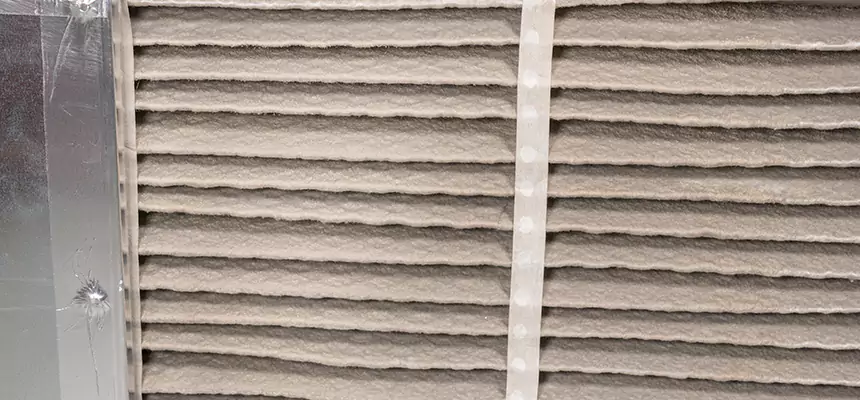 Mobile Car AC Filter Replacement in Paterson