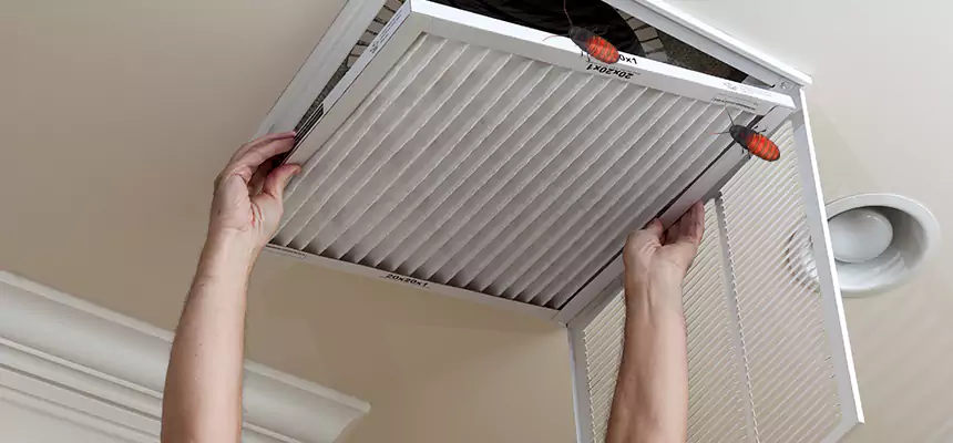 Preventive Cockroach-Proofing for Ducts in Paterson