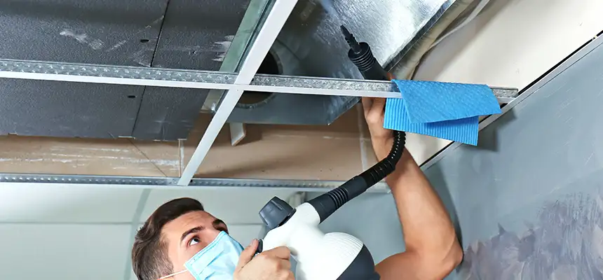 Our Air Duct Rodent Removal Services in Paterson, NJ