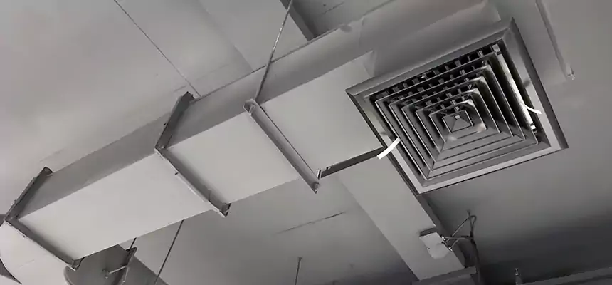 Restorative Allergy Relief Vent Cleaning – Coil, Blower & Housing Detail in Paterson