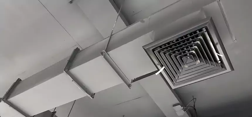 Our Rodent Droppings In Vents Services in Paterson, NJ