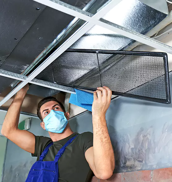 About Air Duct Bacteria Removal in Paterson