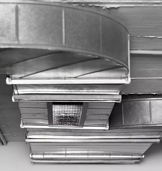 Professional Air Duct Pest Removal in Paterson, NJ