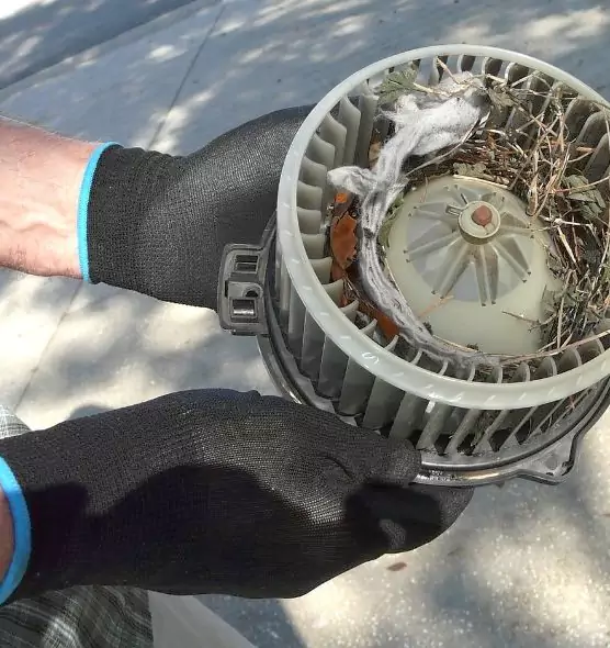 About Air Duct Rat Removal in Paterson, NJ