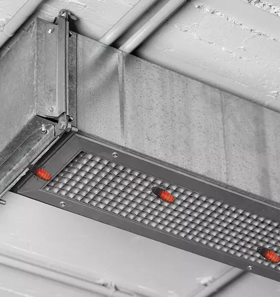 Affordable Insect Removal from Air Ducts in Paterson, NJ