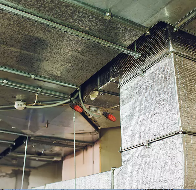 Why Homeowners & Businesses Trust Us in Paterson, NJ?