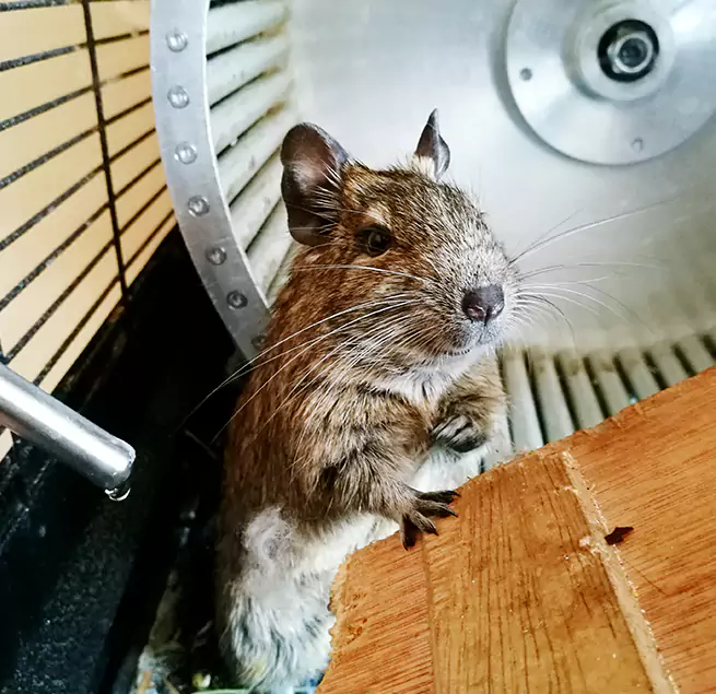 Why Homeowners & Businesses Trust Us Paterson, NJ?