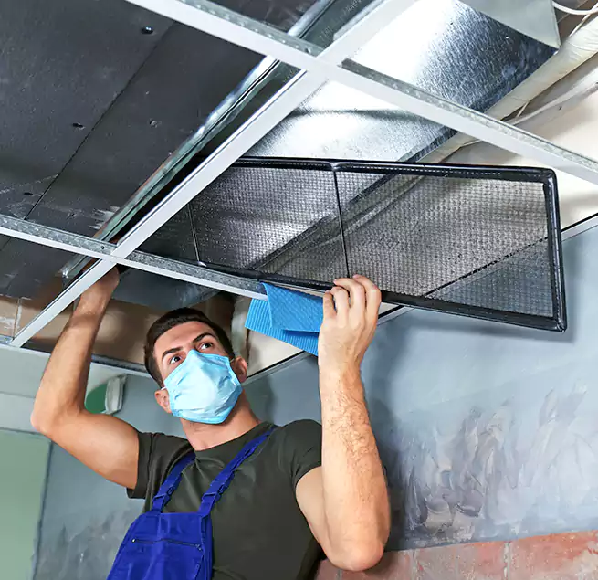 Why Homeowners Businesses Trust Us in Paterson, NJ