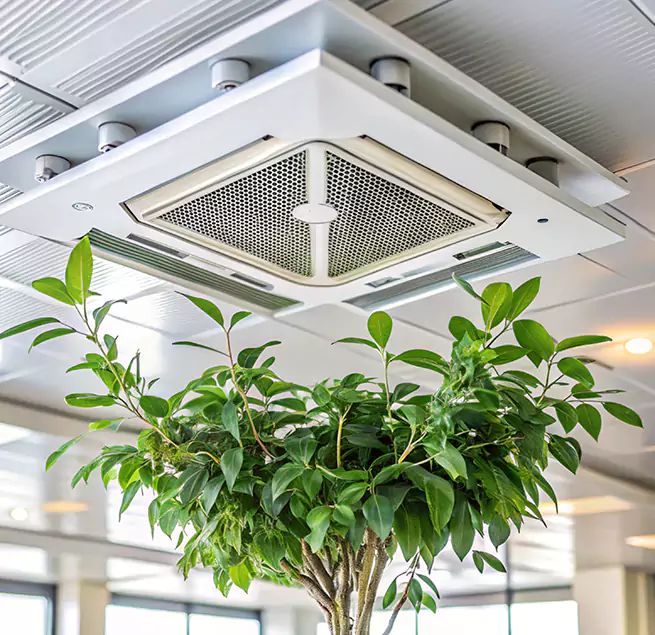 Why Homeowners & Businesses Trust Us in Paterson, NJ